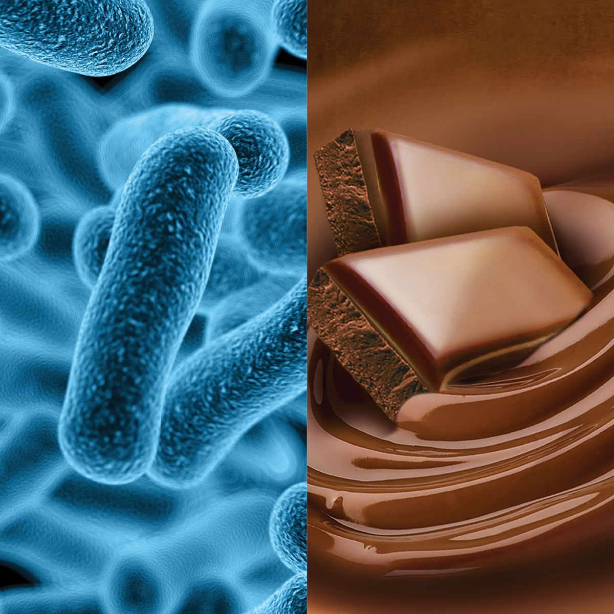 Inovativna tehnologija Chocowise<sup>®</sup> 