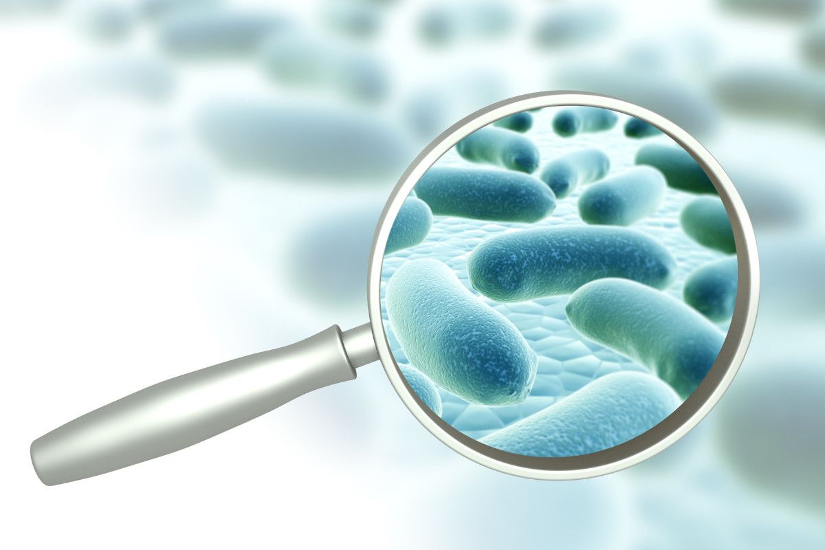 Zakaj dobre* bakterije?